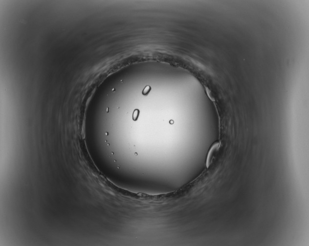 X0000085080965200703121700