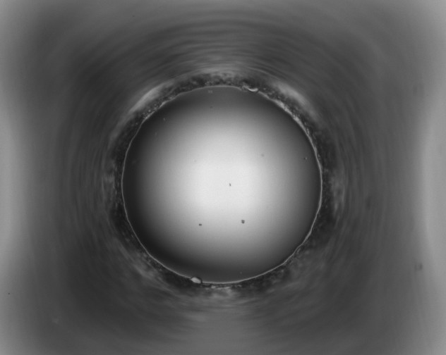 X0000085080968200703121659