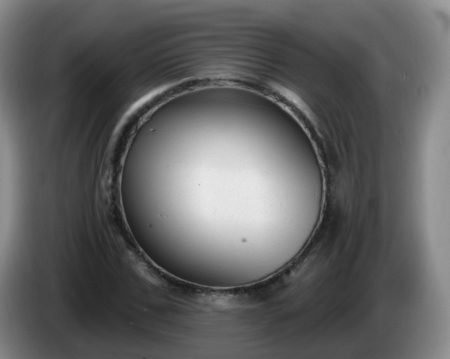 X0000085080971200703121659