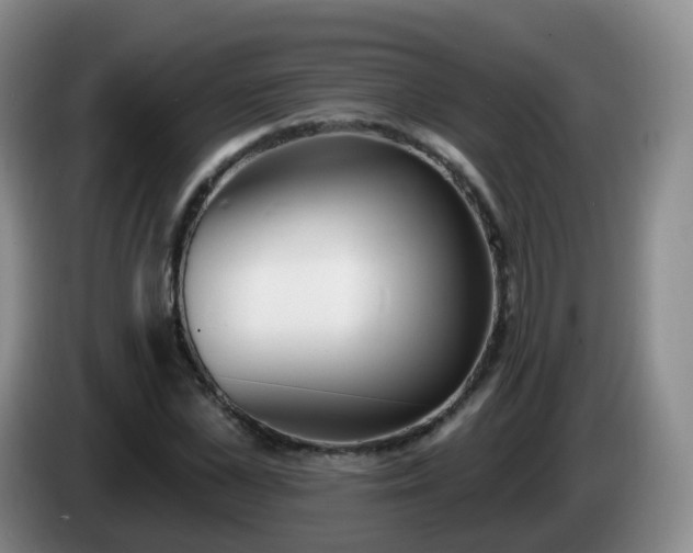 X0000085080973200703121659