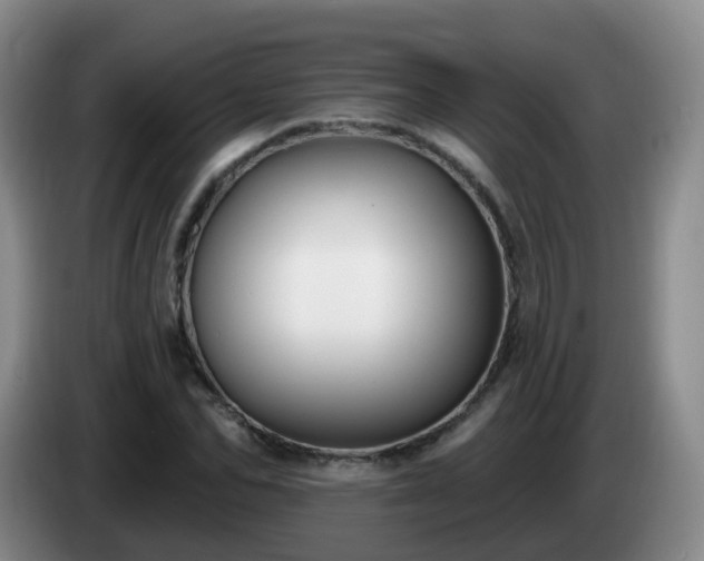 X0000085080974200703121659