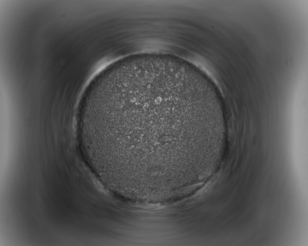 X0000085080975200703121659