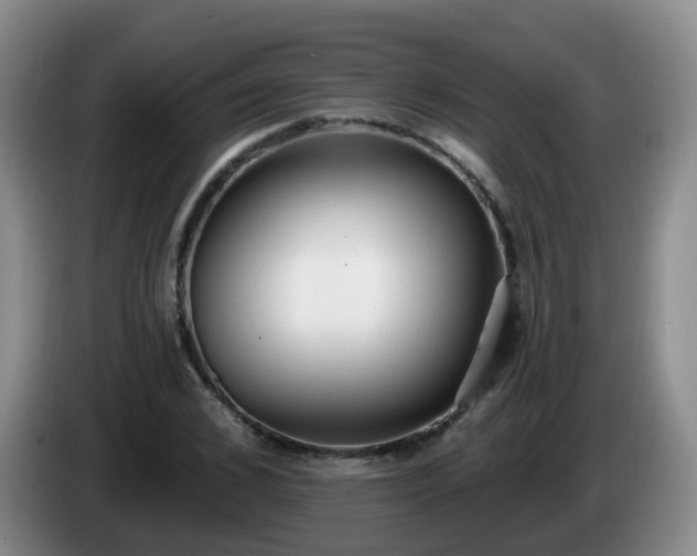 X0000085080976200703121659