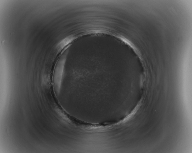 X0000085080977200703121659