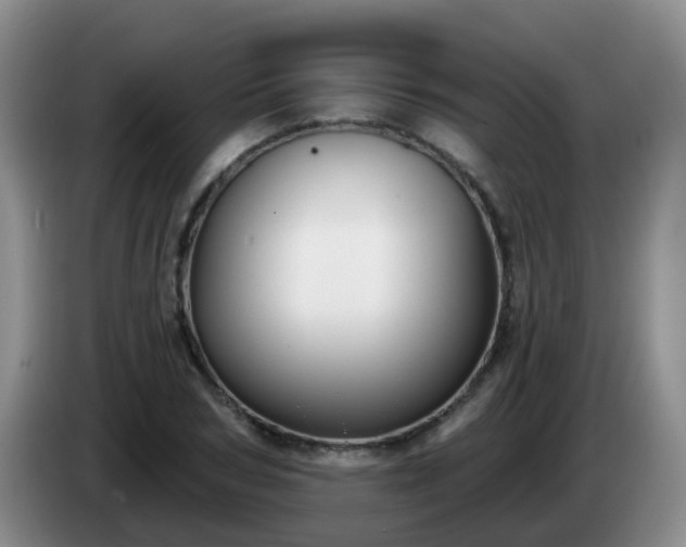 X0000085080978200703121659