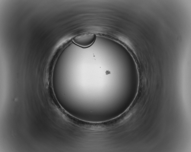 X0000085080979200703121659