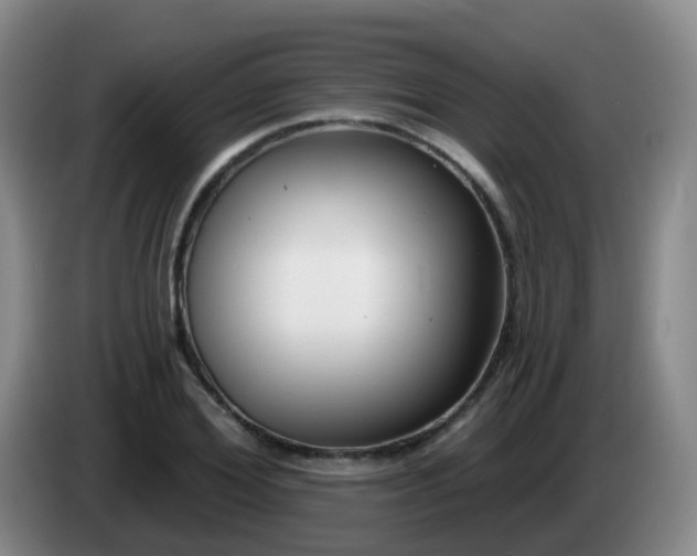 X0000085080980200703121659