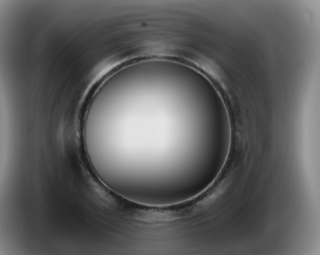 X0000085080981200703121659