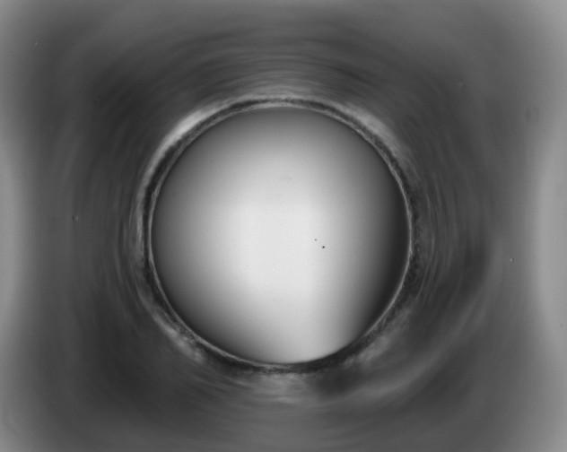 X0000085080982200703121659