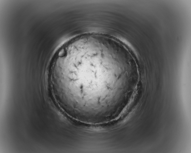 X0000085080983200703121659