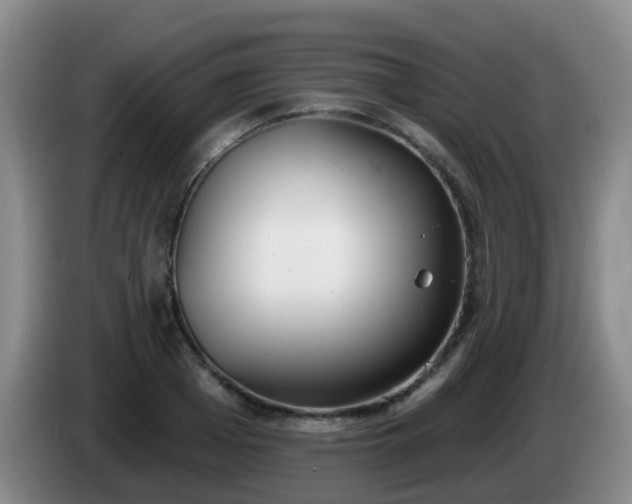 X0000085080985200703121659