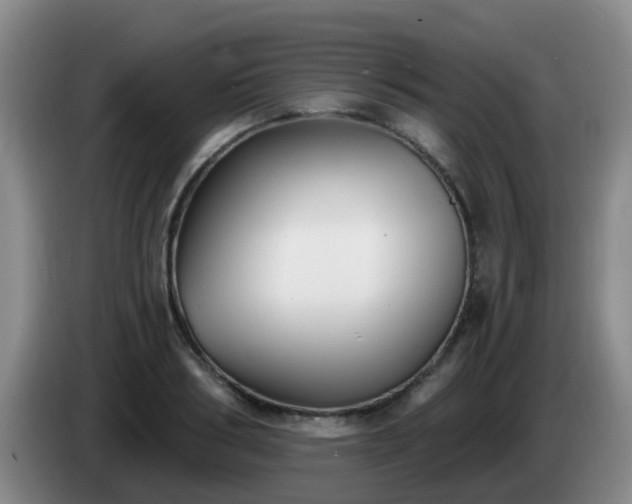 X0000085080986200703121659