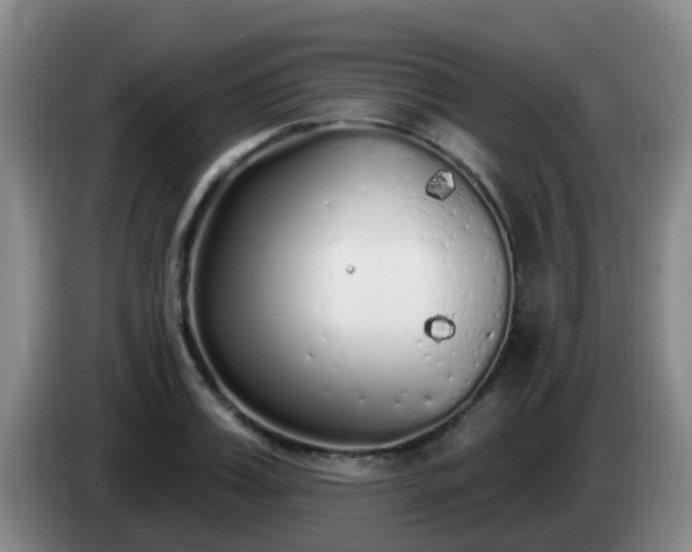 X0000085080987200703121659