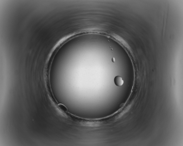 X0000085080989200703121659