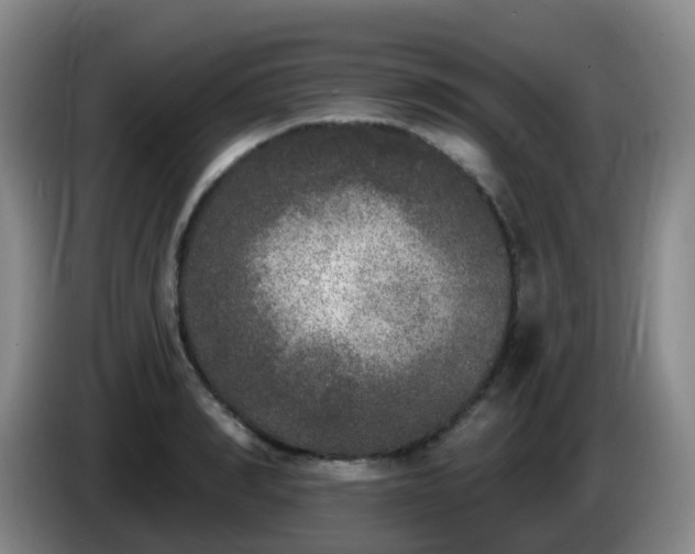 X0000085080990200703121659