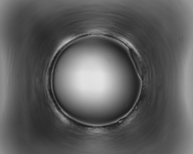 X0000085080991200703121659