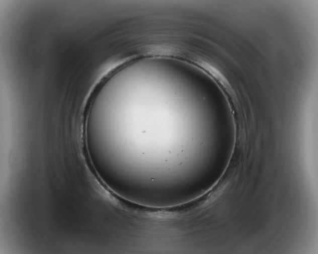 X0000085080992200703121659