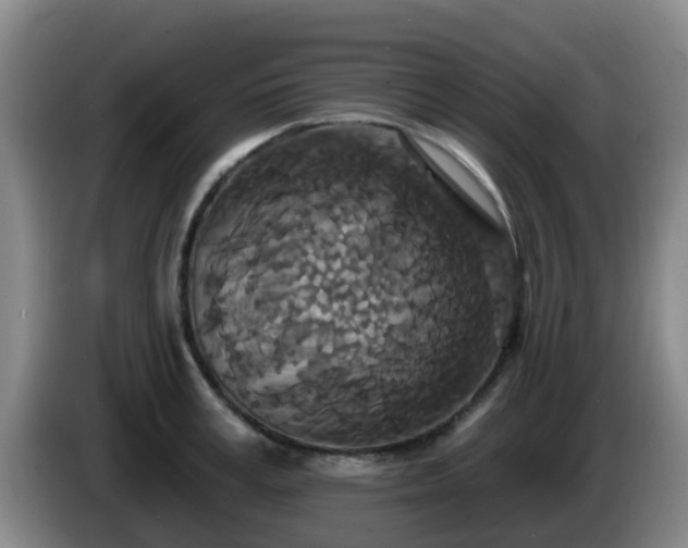 X0000085080995200703121659