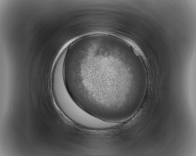 X0000085080996200703121659