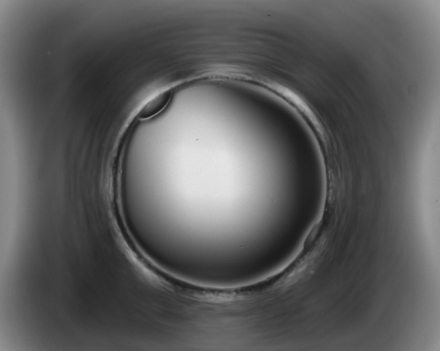 X0000085080999200703121659