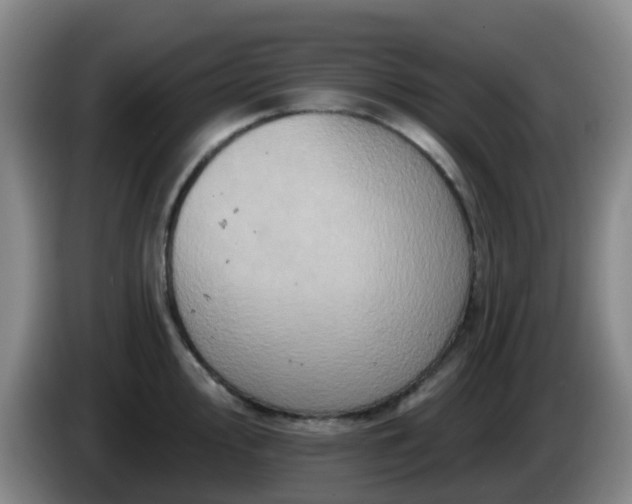 X0000085081000200703121659