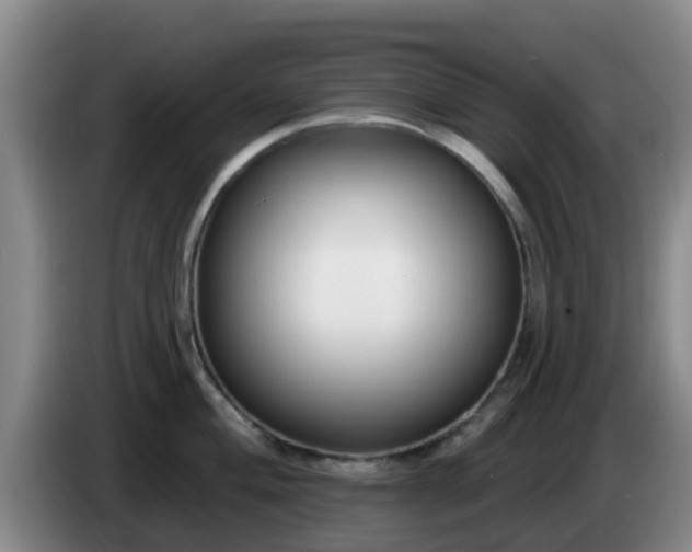 X0000085081004200703121659