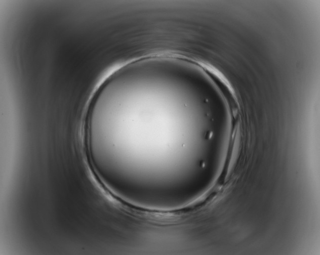 X0000085081007200703121659