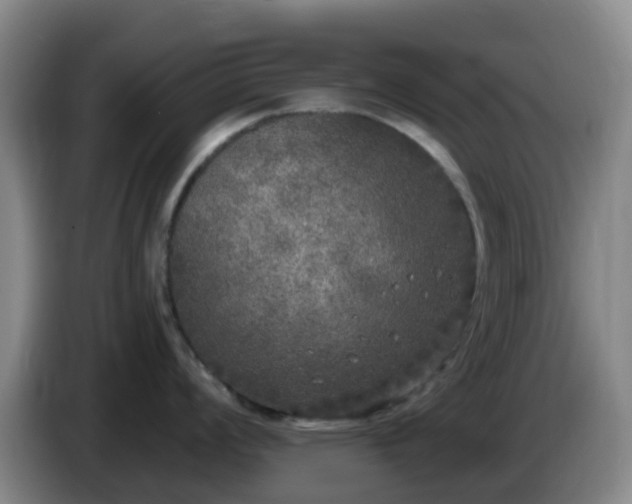 X0000085081008200703121659