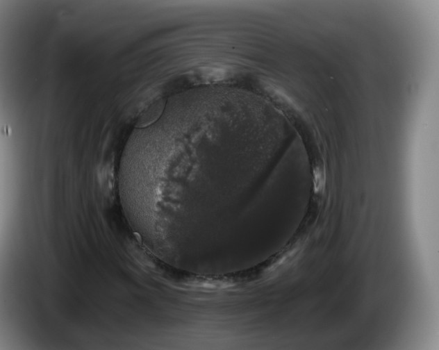 X0000085081011200703121658