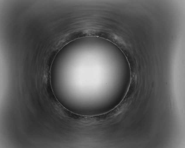 X0000085081012200703121658