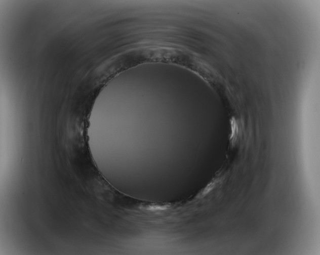 X0000085081013200703121658