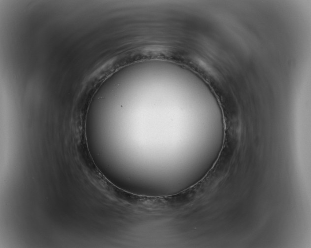 X0000085081015200703121658