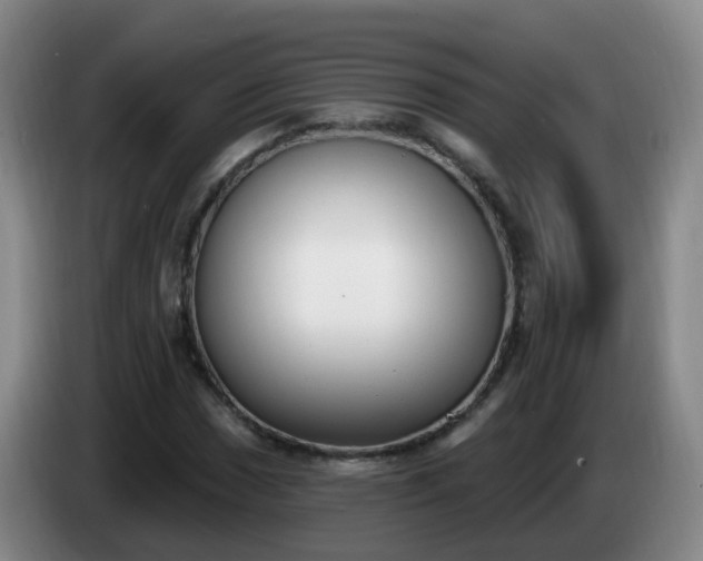 X0000085081017200703121658