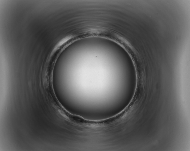 X0000085081018200703121658