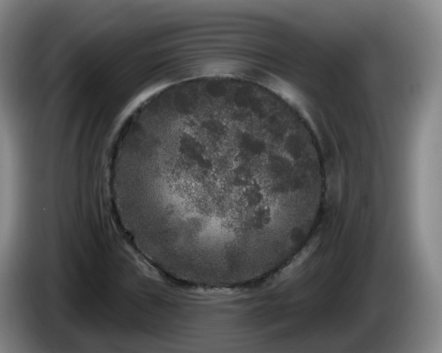 X0000085081019200703121658