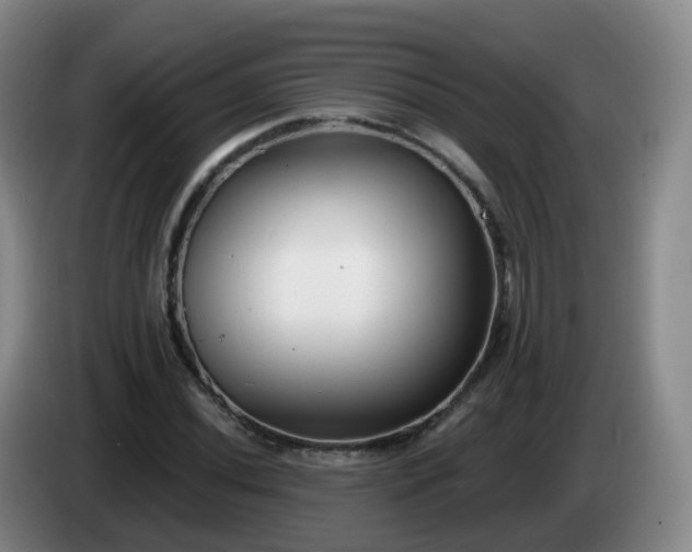 X0000085081020200703121658