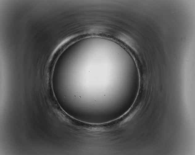 X0000085081021200703121658