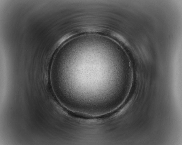 X0000085081025200703121659