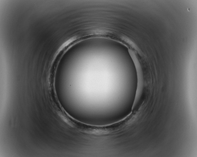 X0000085081026200703121659