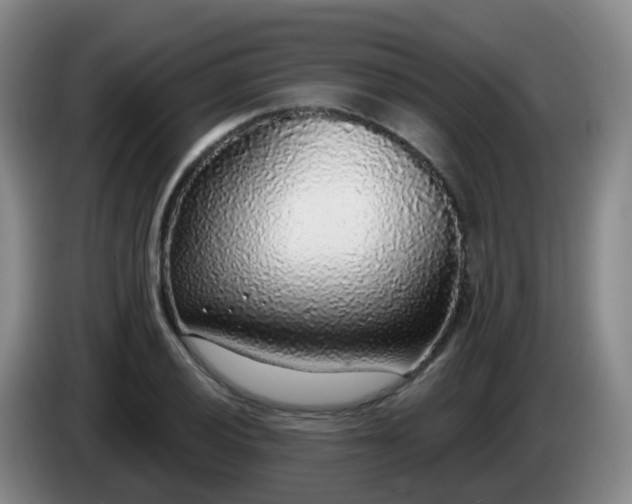 X0000085081028200703121659