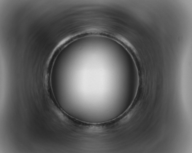 X0000085081029200703121659