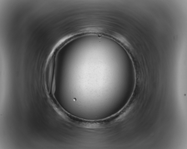 X0000085081030200703121659