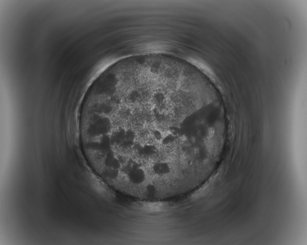 X0000085081031200703121659