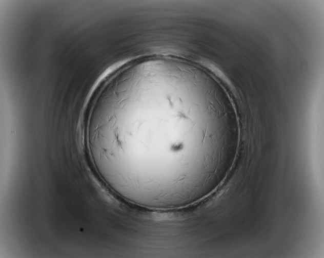 X0000085081032200703121659