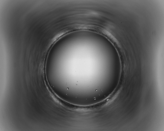 X0000085081033200703121659