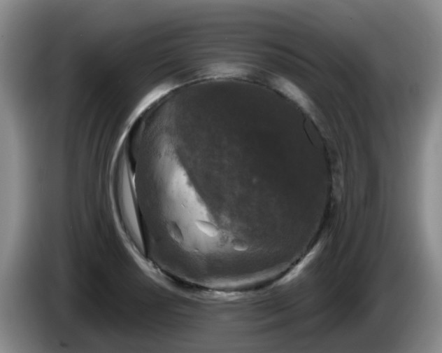 X0000085081034200703121659