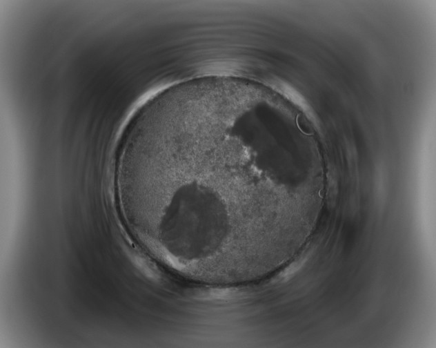 X0000085081035200703121659