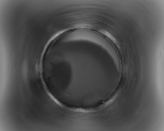 X0000085081037200703121659