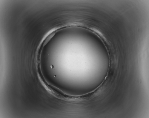 X0000085081038200703121659