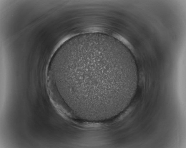 X0000085081039200703121659